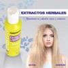 Shampoo Y Acondicionador De Hierbas Cabello Dañado Nefertiti