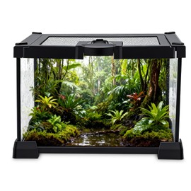 Reptile Terrarium 20"x12"x10", Full Glass Tank Enclosure for Small Reptiles, Geckos, Frogs, Lizards, Snakes, Spiders, Turtles, Rainforest Terrarium Habitat