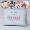 From the Nail Pony 6-piece set magnetic gel / 프롬더네일