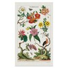 Cavallini & Co. Tea Towel- Floreale