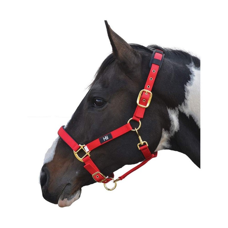 Hy Deluxe Padded Head Collar: Green: full size