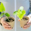 Dalzom® 60Pcs 3.1” Peat Pots with 60Pcs Plant Labels, Biodegradable