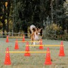 TNZMART Dog Agility Hurdle Cones Pet Jump Training Set Dog