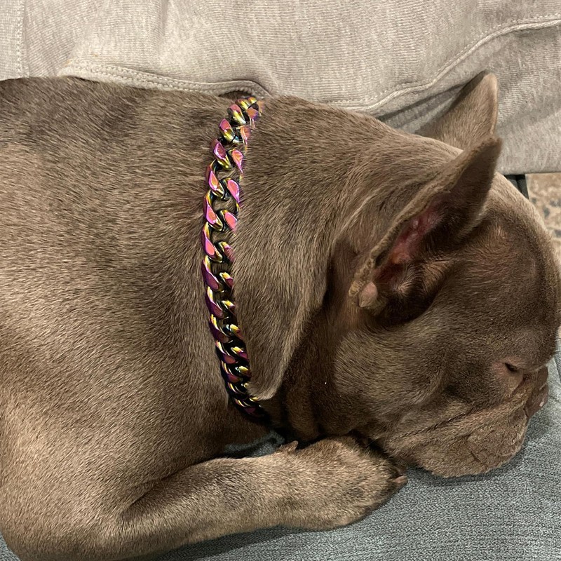 Luxury 12mm Cuban Link Dog Collar - Durable Stainless Steel