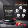 DLNIA 120 Creatine Monohydrate Gummies for Men & Women, Vegan-Friendly,