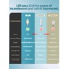 CRLight LED Candelabra Bulb 5000K Daylight White, 25W Equivalent 250
