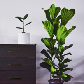 HESTIA HARDWARE 10 Pack | Oil Rubbed Bronze Cabinet Pulls 3.75 Inch Kitchen Cabinet Handles | Modern Bronze Cabinet Pulls | 96mm Pulls, Drawer Handles and Dresser Handles (Z17.96mm.10.O)