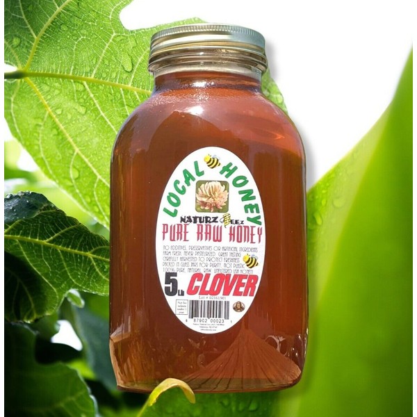 RAW HONEY CLOVER 5 LBS 2268g 100% PURE RAW UNFILTERED HONEY  In Glass