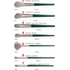 Makeup Brushes Premium Synthetic Foundation Powder Concealers Eye Shadows Green