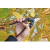FELCO Pruning Shears (Cutting Capacity 0.8 inches (20 mm) /