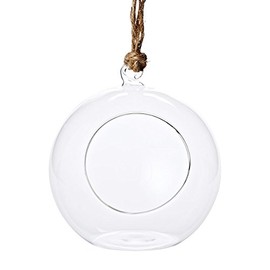 Department 56 Garden Guardians Glass Terrarium Ornament, 5 inch