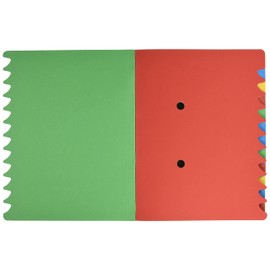 Leitz 39120055 Ordnungsmappe, 12 Fächer, Colorspankarton, grün