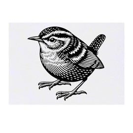 Azeeda 'Zaunkönig' Temporäres Tattoo - Hautfreundlicher & Ungiftiger Abziehbild · Wasserfest (TO00074027)