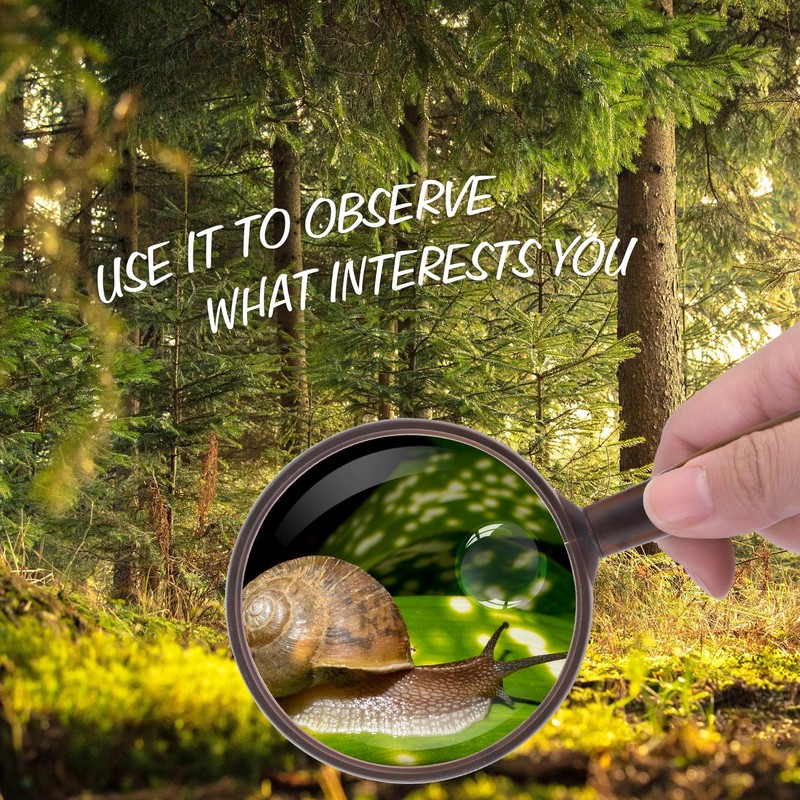 Magnifier, 10x and 30x, Handheld Magnifier, Large, Easy to View,