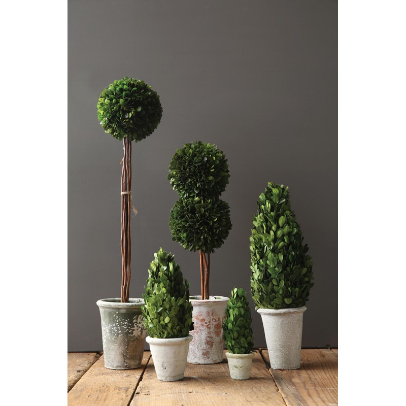 Creative Co-Op Boxwood Topiary in Clay Pot
