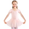 Bezioner Girls Ballet Dance Dress Pink Ballet Outfit Leotard with