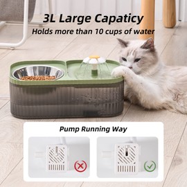 JEERAMIA Cat Water Fountain and Food Bowl, 3L/101oz Ultra Quiet Pet Water Dispenser with Smart Pump and 3 Replacement Filters, Automatic Flower Fountain & Stainless Steel Bowl (Black & Green)