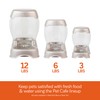 Petmate Pet Cafe Feeder Dog and Cat Feeder Pearlescent Colors