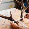 6 PCS Double Scale Antler Measuring Tapes for Deer and