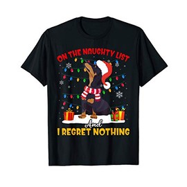 Dachshund Santa On The Naughty List Dachshund Christmas Gift T-Shirt