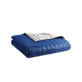 YnM Cooling Weighted Blanket for Adults, Cooling & Cozy Velvet Dual-Sided, 25lbs Heavy Bed Throw for One Person of 240lbs, Four Seasons Use (60x80 Inches, Queen Bed, Blue/Grey)