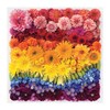 Galison Rainbow, Flores, Multicolor, 500