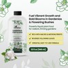 Gardenia Fertilizer for Vibrant Growth & Fragrant, Beautiful Blooms, 32oz
