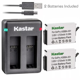 Kastar Battery & Dual USB Charger for GoPro ASBBA-001 Battery