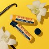 Burt's Bees 100% Natural Moisturizing Lip Balm, Vanilla Bean -