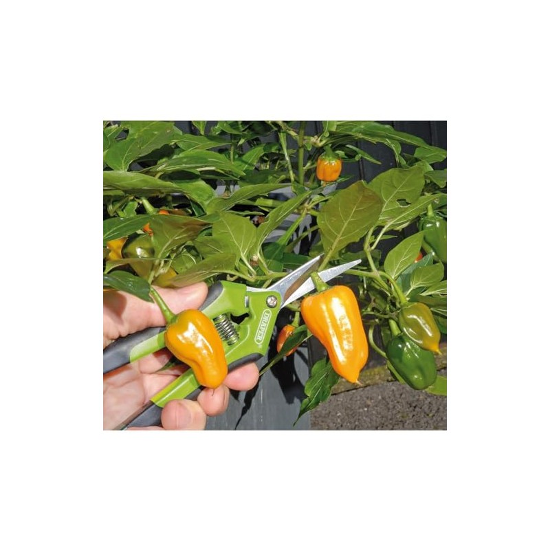 Draper 73729 Precision Curved Pruning Secateurs, 165mm