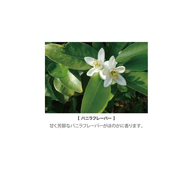 nbaa N.B.A.A Hard Fit Gloss 2.6 oz (75 g)