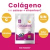 Colágeno Hidrolizado Sin Azúcar + Isomaltulosa + Vitamina C