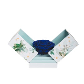 BLOOM & STORIES – Natürliche, haltbare, dunkelblaue Rose in Einer weißen Schachtel | originelles Geburtstags- oder Verlobungsgeschenk