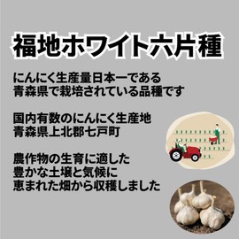 Hakkoda Farm Co., Ltd. Fukuchi White 6 Pieces Garlic, Roses Produced in Aomori Prefecture, 17.6 oz (500 g)