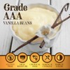 Villa Vainilla Mexican Vanilla Beans - All Natural, Whole Grade