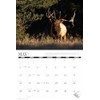 2025 Elk Calendar