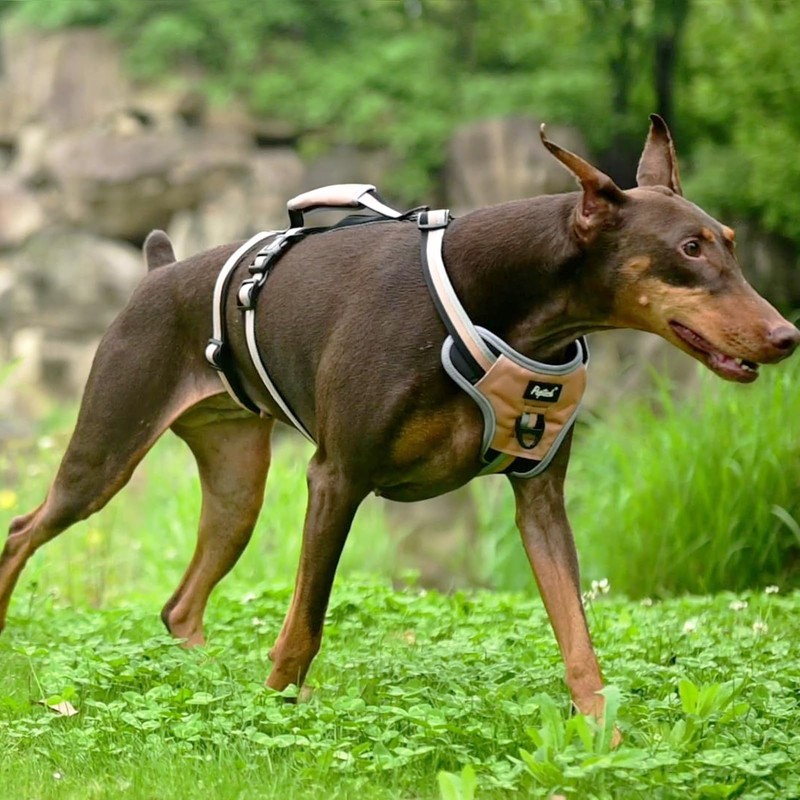 PUPTECK Escape Proof Dog Harness with Padded Handle, No Pull