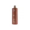 Ion Shampoo Alasiador Suavizante Con Queratinapara Cabello 1