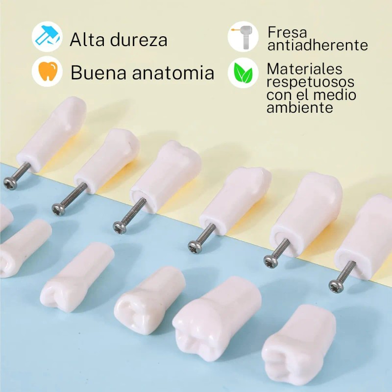 Paquete Dientes Compatibles Nissin Tipodonto