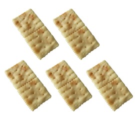 SEWACC 5pcs Artificial Soda Artificial Cookie Fake Biscuits Fake Dessert Crackers Simulation Realistic
