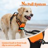 rabbitgoo Dog Harness Large Dog No Pull Pet Harness with