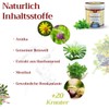 SwissMedicus Horse Balm Massage Gel with 25 Herbal Extracts (Beinwell,