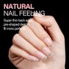 AILLSA Uñas Postizas Cortas Cuadradas, 15 Tamaños, 240 Unidades. Uñas