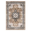 DEXI Area Rug 5x8, Washable Rugs Living Room Dining Bedroom