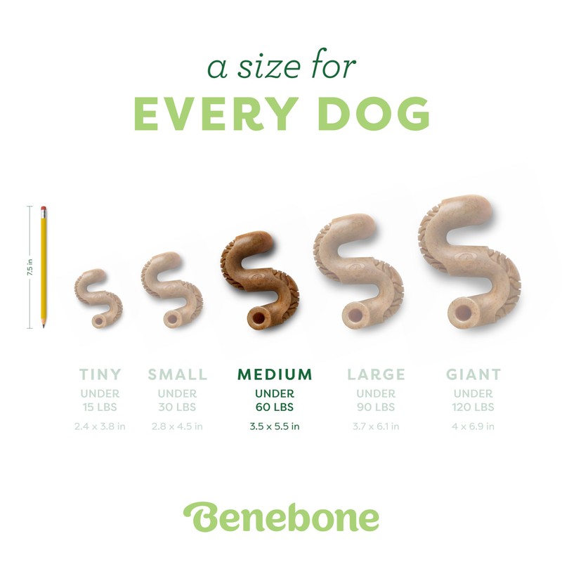 Benebone Benebone Tripe Bone Durable Dog Chew Toy for Aggressive