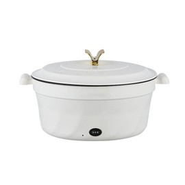 Electric Pot Multifunctional Dormitory Student Cooking Pot Electric Cooker  Standard