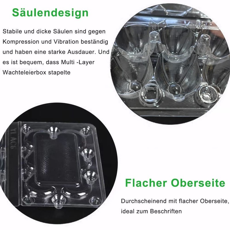 Pack of 30 Quail Egg Boxes, Quail Egg Boxes, 6