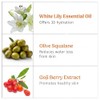 vilvah STORE Crema Ultra Hidratante (Escualeno De Oliva Y Lirio
