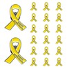 20 Pcs Funeral Ribbon Awareness Pins Memorial Lapel Brooches Forever
