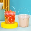 ToppYuanZea 24 Pack Ice Cream Bucket with Lids and Handles,